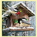 Snow Birds Animal Themed Maxi Wooden Jigsaw Puzzle 250 Pieces