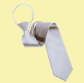 Light Silver Grey Formal Groomsmen Groom Wedding Pre-Knotted Mens Neck Tie