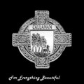 Celtic Cross Irish Coat of Arms Sterling Silver Brooch