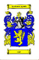 Agar Irish Coat of Arms Print Agar Irish Family Crest Print