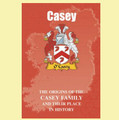 Casey Coat Of Arms History Irish Family Name Origins Mini Book
