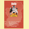 Daly Coat Of Arms History Irish Family Name Origins Mini Book