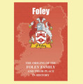 Foley Coat Of Arms History Irish Family Name Origins Mini Book