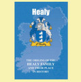 Healy Coat Of Arms History Irish Family Name Origins Mini Book