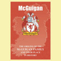 McGuigan Coat Of Arms History Irish Family Name Origins Mini Book
