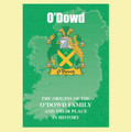 O'Dowd Coat Of Arms History Irish Family Name Origins Mini Book