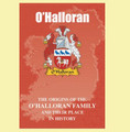 O'Halloran Coat Of Arms History Irish Family Name Origins Mini Book