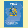 O'Shea Coat Of Arms History Irish Family Name Origins Mini Book