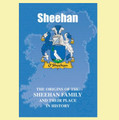 Sheehan Coat Of Arms History Irish Family Name Origins Mini Book