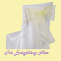 Baby Maize Organza Wedding Chair Sash Ribbon Bow Decorations x 10 For Hire