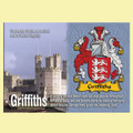 Griffiths Coat of Arms English Family Name Fridge Magnets Set of 2