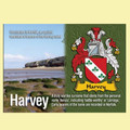 Harvey Coat of Arms English Family Name Fridge Magnets Set of 4