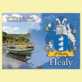 Healy Coat of Arms Irish Family Name Fridge Magnets Set of 2