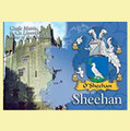 Sheehan Coat of Arms Irish Family Name Fridge Magnets Set of 2