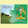 O'Hara Coat of Arms Irish Family Name Fridge Magnets Set of 4