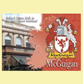McGuigan Coat of Arms Irish Family Name Fridge Magnets Set of 2
