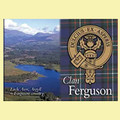 Ferguson Clan Badge Scottish Family Name Fridge Magnets Set of 4