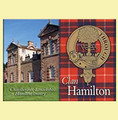 Hamilton Clan Badge Scottish Family Name Fridge Magnets Set of 2