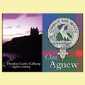 Agnew Clan Badge Scottish Family Name Fridge Magnets Set of 4