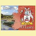 O'Leary Coat of Arms Irish Family Name Fridge Magnets Set of 2