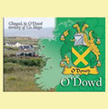 O'Dowd Coat of Arms Irish Family Name Fridge Magnets Set of 4