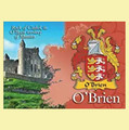 O'Brien Coat of Arms Irish Family Name Fridge Magnets Set of 2