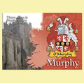 Murphy Coat of Arms Irish Family Name Fridge Magnets Set of 4