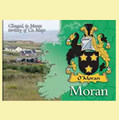 Moran Coat of Arms Irish Family Name Fridge Magnets Set of 2