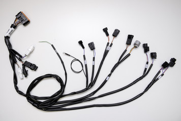 Yamaha Tenere 700 Evo/Racing wiring 2019-2020