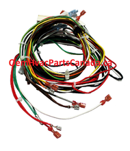 305764-701 Carrier Wiring Harness