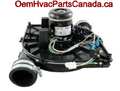 AO Smith Inducer Motor, 2 STG JE1D016N Motor Assembly HC27CB121