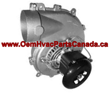 OEM A172 Inducer Motor 1013833