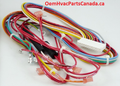 318973-401 Carrier Wiring Harness