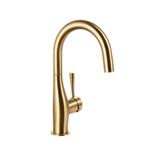 HamatUSA  IMBA-4000 BB Imagine Bar Faucet in Brushed Brass