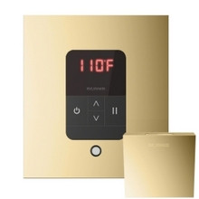 Mr. Steam MSITEMPOSQ-PB iTempo Square In-Shower Control with Matching AromaSteam Steamhead  - Polished Brass