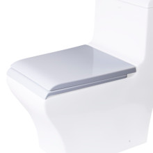 EAGO R-356SEAT Replacement Soft Closing Toilet Seat for TB356