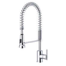 Danze D455258 Parma Single Handle Pre-Rinse Spring Spout Kitchen Faucet 1.75gpm - Chrome
