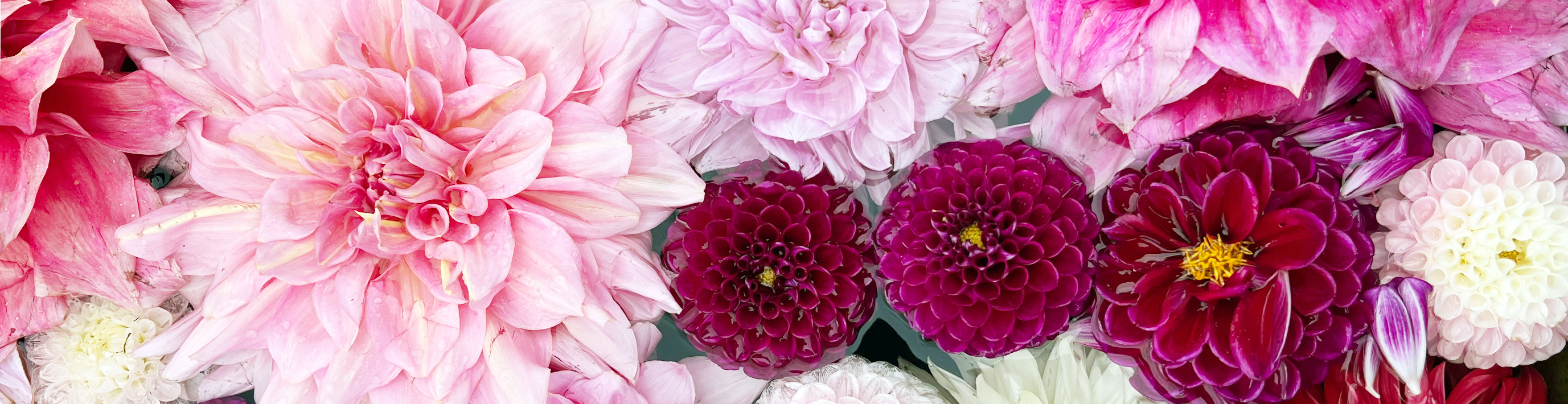 flowerssummer26-2.jpg