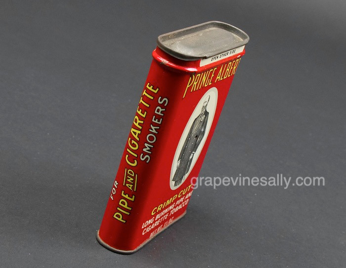 most popular dipping tobacco Skoal (tobacco)