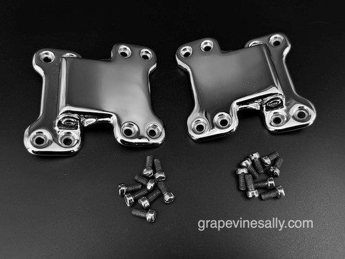 NEW CHROMED Set of 2 GE Monitor Top Door Hinges w/ Screws

Set of 2 NEW CHROMED Monitor Top Refrigerator Door Hinges with 16 Original Screws. 

Included: 2 Door Hinges plus 16 original screws 

All of our new chromed parts are Triple Plated (copper, nickel, chrome).

 