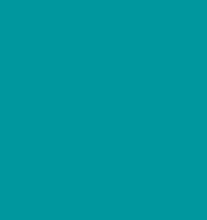 Old Holland Oil Paints 40ml Series E - Turquoise Green