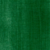 Maimeri Extrafine Classico Oil Colours 200ml - Green Earth