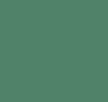 Tombow Dual Brush Pen - 296 Green
