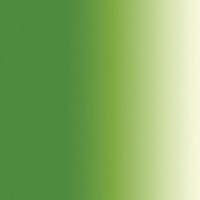 Sennelier Extra Fine Artist Oils 200ml Series 2 - Sap Green