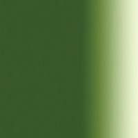 Sennelier Extra Fine Artist Oils 40ml Series 3 - Oive Green