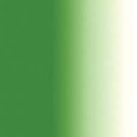 Sennelier Extra Fine Artist Oils 40ml Series 3 - Permanent Green