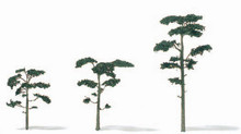 Etched Brass Scots Pine Trees - H=25mm