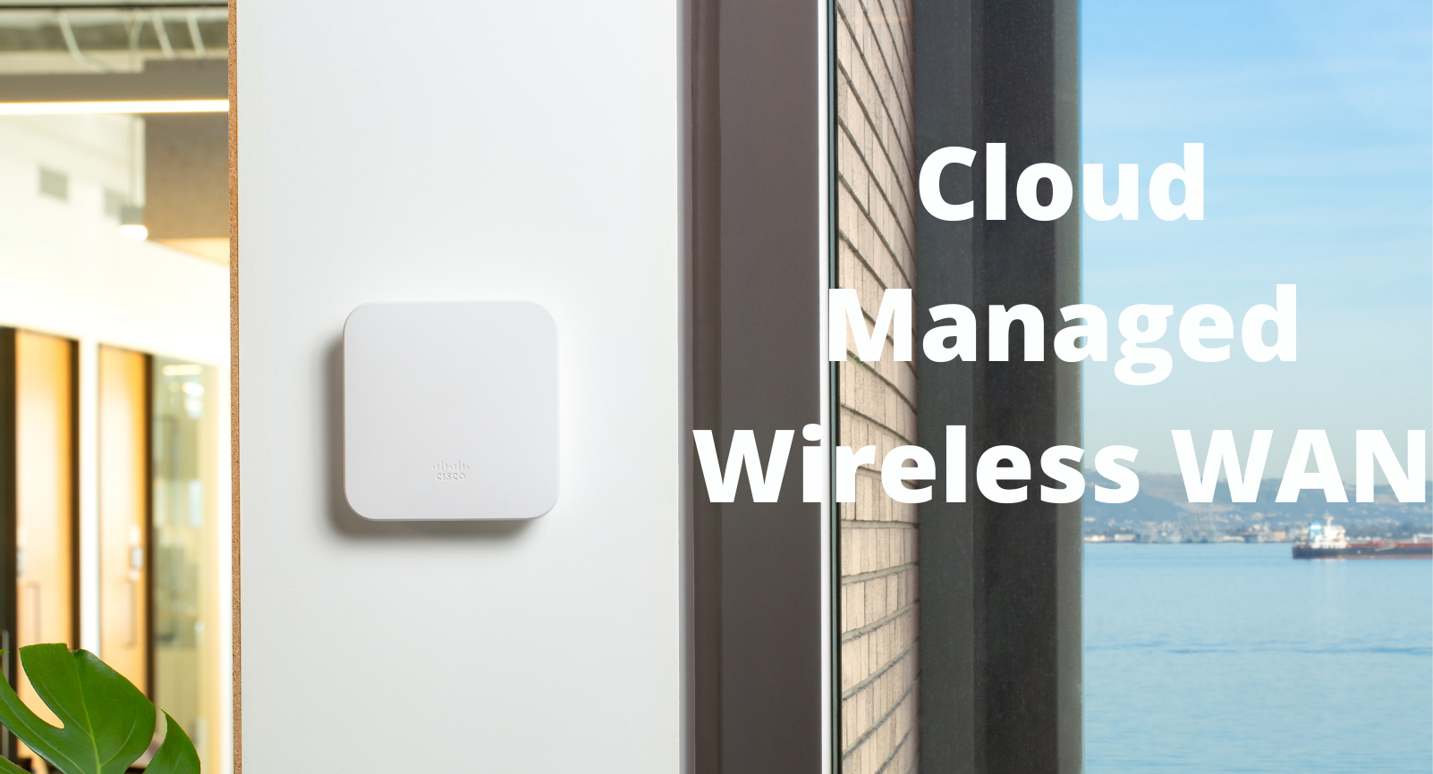 cloud-managed-wireless-wan1.png