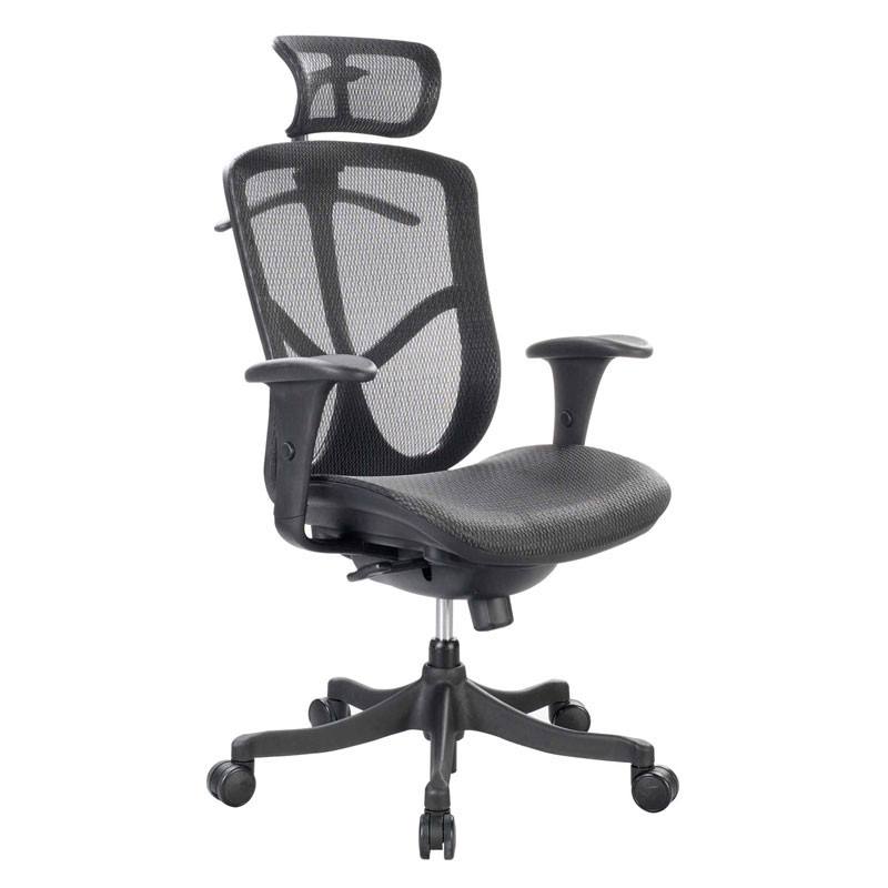 Raynor Fuzion Basic High Back Mesh Chair Fuz6b Hi Free Shipping