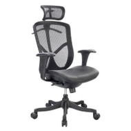 Raynor Fuzion Basic High Back Mesh Chair - FUZ6B-HI